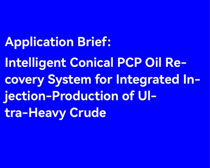 Application Brief：Intelligent Conical PCP Oil Recovery System for Integrated Injection-Production of Ultra-Heavy Crude
