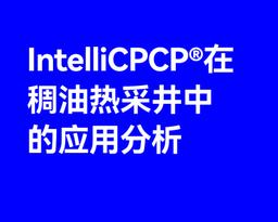 IntelliCPCP®在稠油热采井中的应用分析