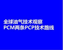 全球油气技术观察｜PCM两条PCP技术路线