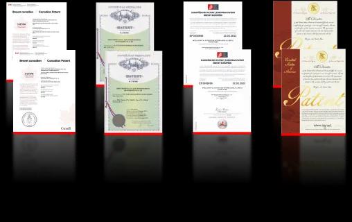 4大重要石油举升国家国际专利图片